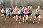 Senior men, 2020 British Athletics Inter Counties Cross Country Champs., Prestwold Hall, Loughborough. Photo: David T. Hewitson/Sports for All Pics